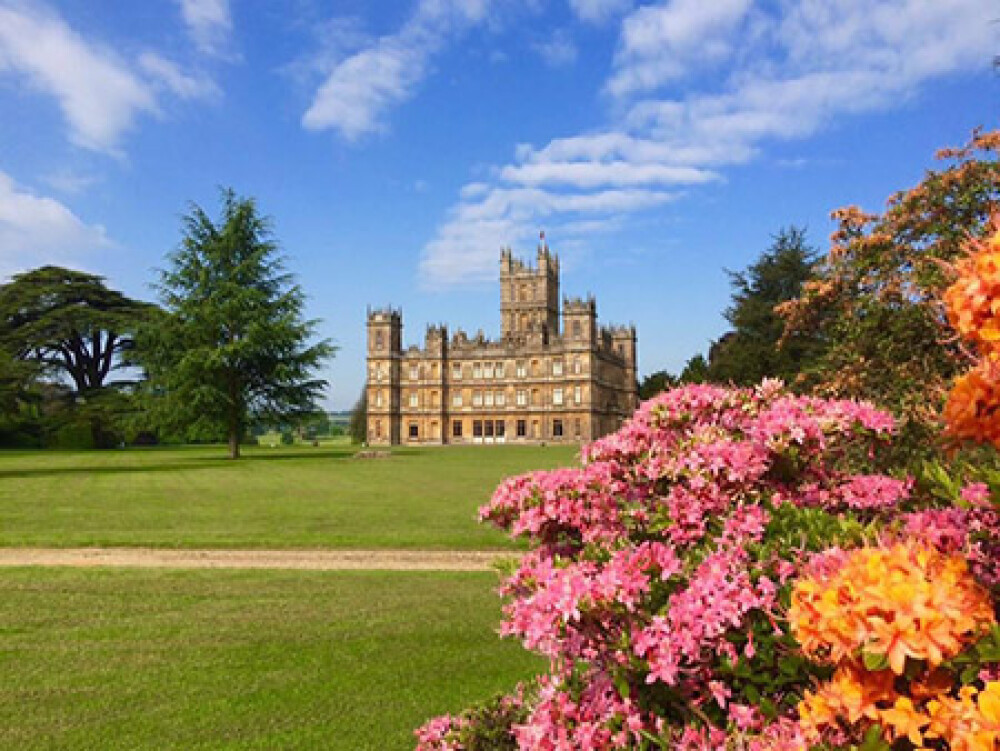 Spring Public Opening